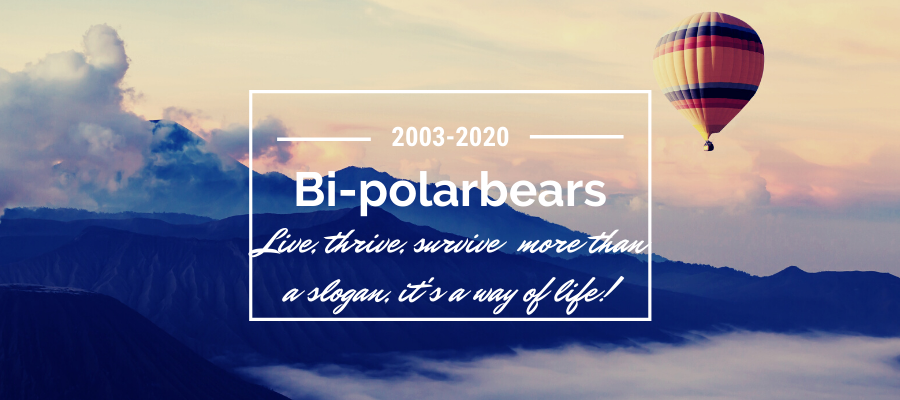 bi-polarbears 17 year banner